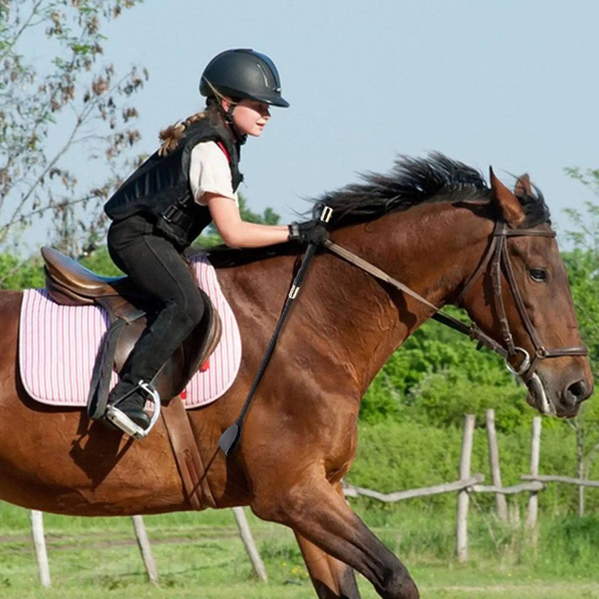 30/45/54/60 cm Horse Riding Whip Training - ProPawPet.com