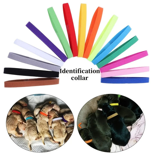 15PCS Pet Identification Circle Kitten Puppy - ProPawPet.com