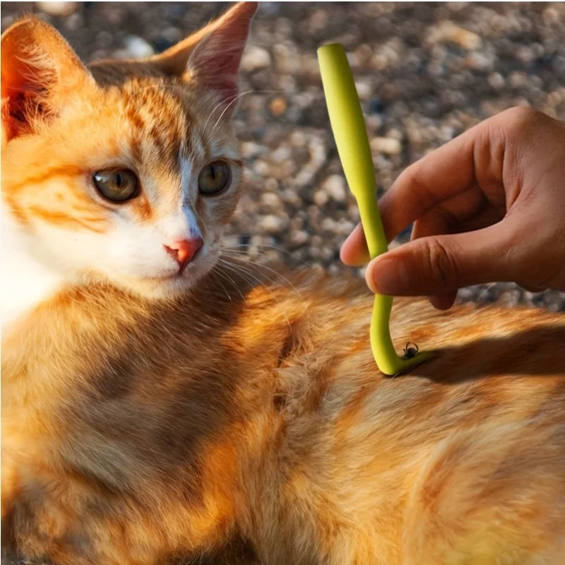 3Pcs Pet Flea Remover Tool Kit Plastic - ProPawPet.com