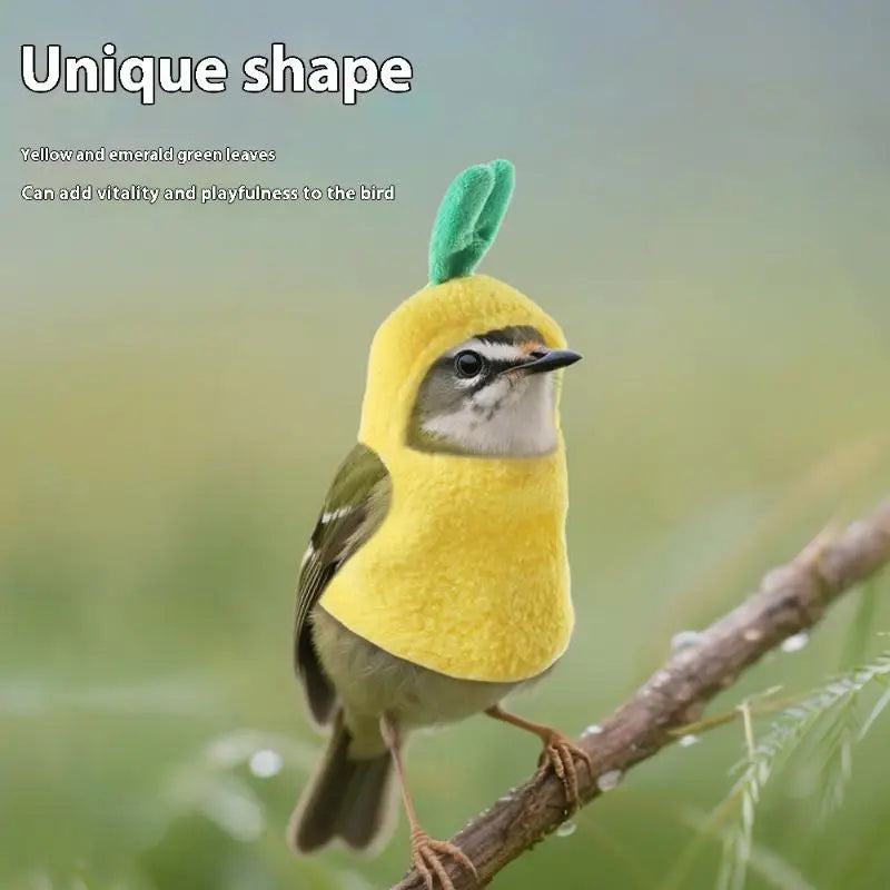 Funny Transform Into Rabbit Pineapple Bird - ProPawPet.com