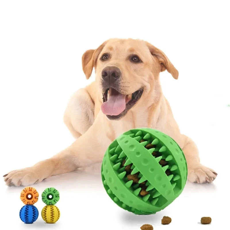 New Pet Dog Toy Interactive Rubber Balls for - ProPawPet.com