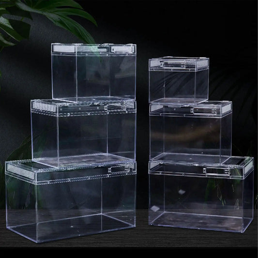 Reptile Terrarium Habitat Clear with Full - ProPawPet.com