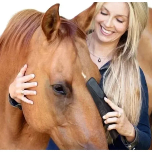 Equestrian Horse Massage Brushes Animal Body Grooming Bath