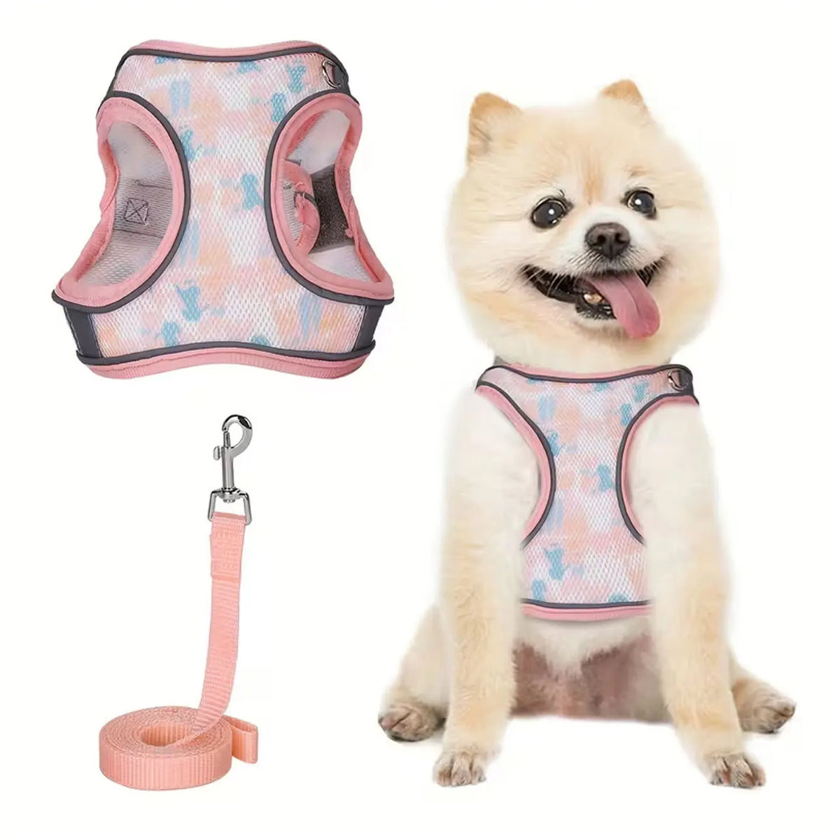 DH008 Small Dog Safety Leash Set, Non-Pull - ProPawPet.com