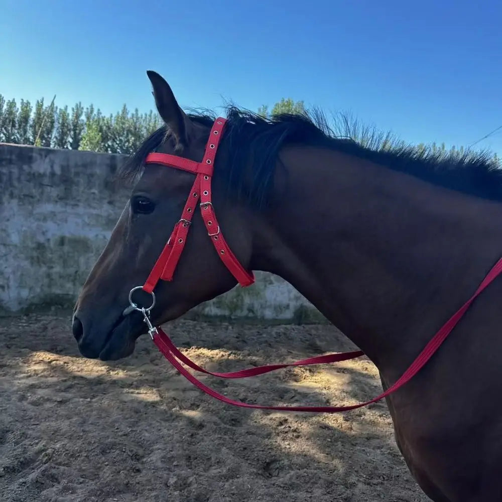 Thickened Horse Halters Comfortable - ProPawPet.com