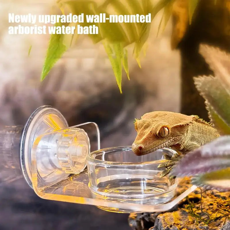 Gecko Feeding Dish Reptiles Feeder Bowl with - ProPawPet.com