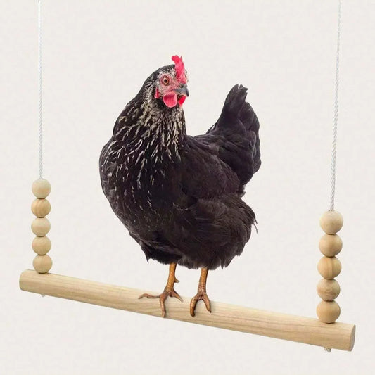 1pc-Parrot toy, pet chicken, rooster swing - ProPawPet.com