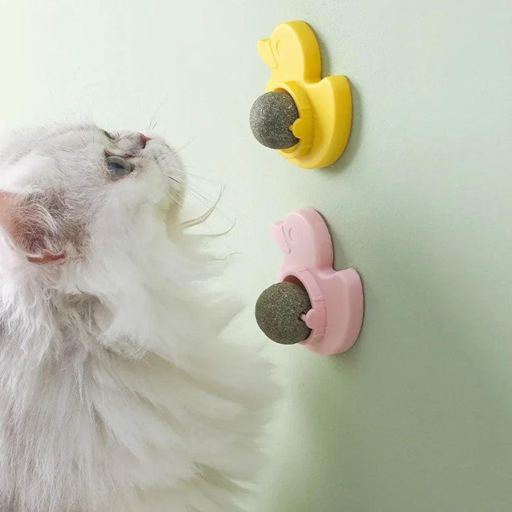 Cat Mint Ball Rotating Ball Wall Cat Toy - ProPawPet.com