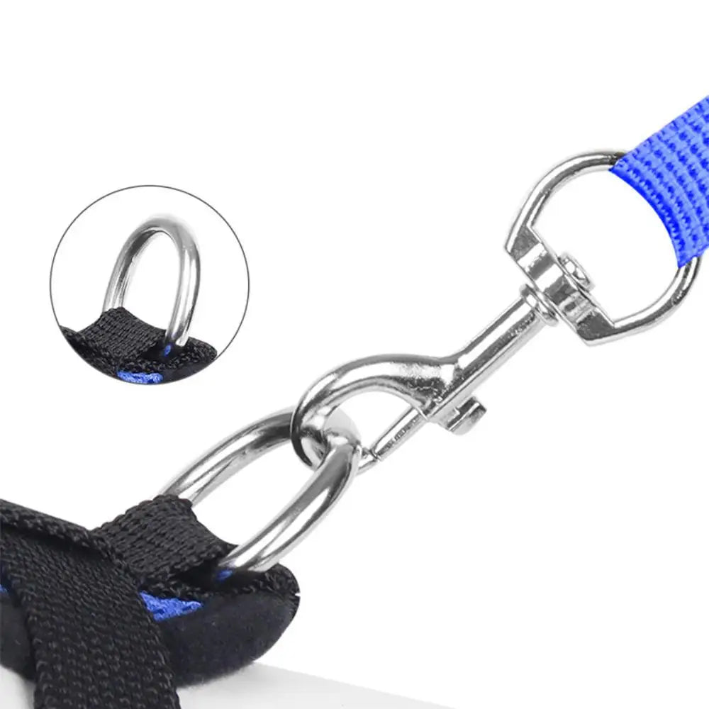 Adjustable Cat Dog Harness Leash Set - ProPawPet.com