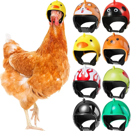 Farm Pet Chicken Helmet Sun Rain Protection - ProPawPet.com