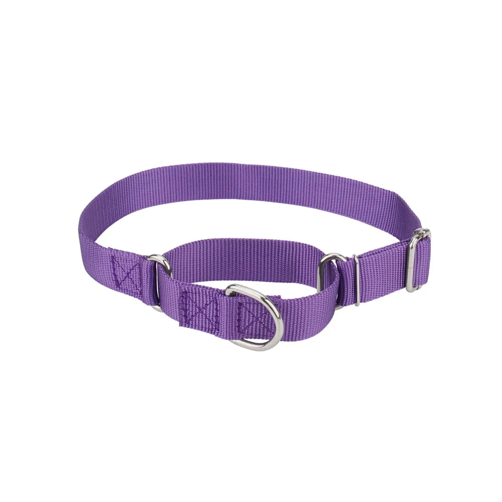 Martingale Collar for Dogs，Dog Collar with - ProPawPet.com