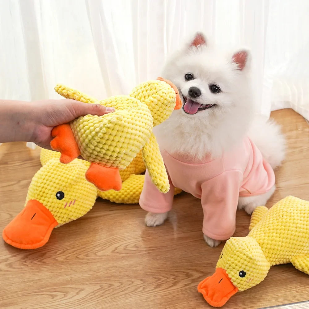 Squeak Plush Toys For Puppy Large Dogs Pet - ProPawPet.com