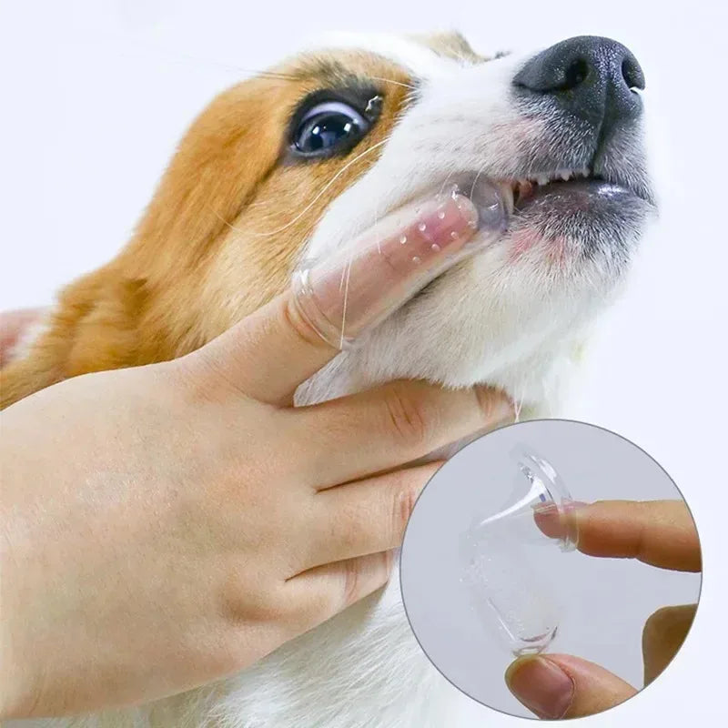 1/2/3pcs Soft Pet Dog Finger Toothbrush Dog - ProPawPet.com