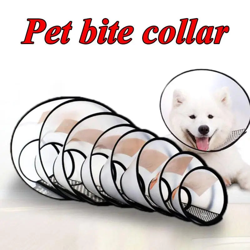 Elizabeth Anti-bite Pet Dog Collar Wound - ProPawPet.com