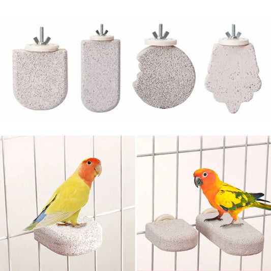 Pumice Parrot Stand Board Claw Grinding - ProPawPet.com