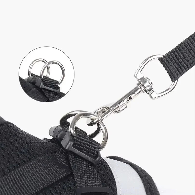 Escape Proof Cat Harness Adjustable - ProPawPet.com