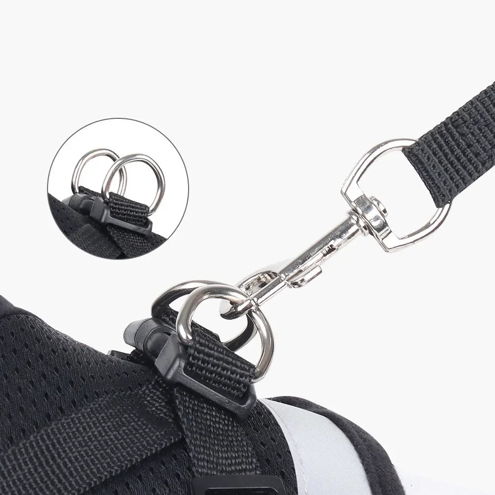 Cat Harness Lead Leash Set Adjustable - ProPawPet.com