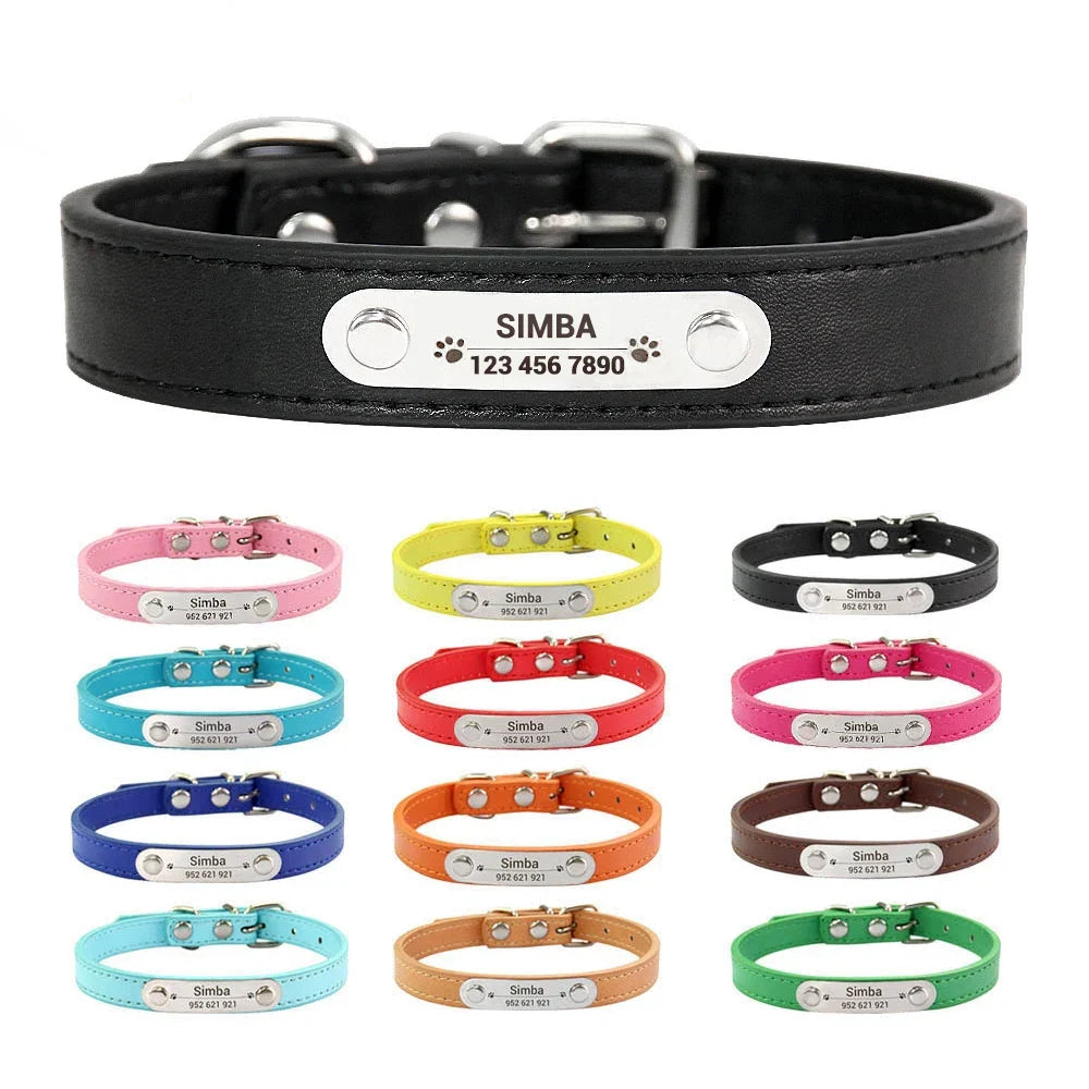 Personalized Dog Collar Name Carved ID - ProPawPet.com