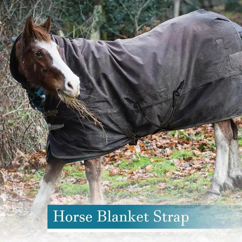 Horse Blanket Sheet Leg Straps Elastic - ProPawPet.com