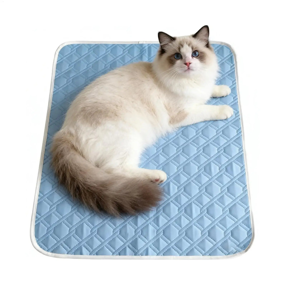 Cooling Pet Mat Breathable Washable Summer - ProPawPet.com