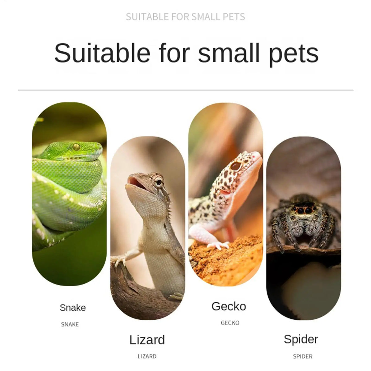 Reptile Hides 3D Printed Cylindrical - ProPawPet.com