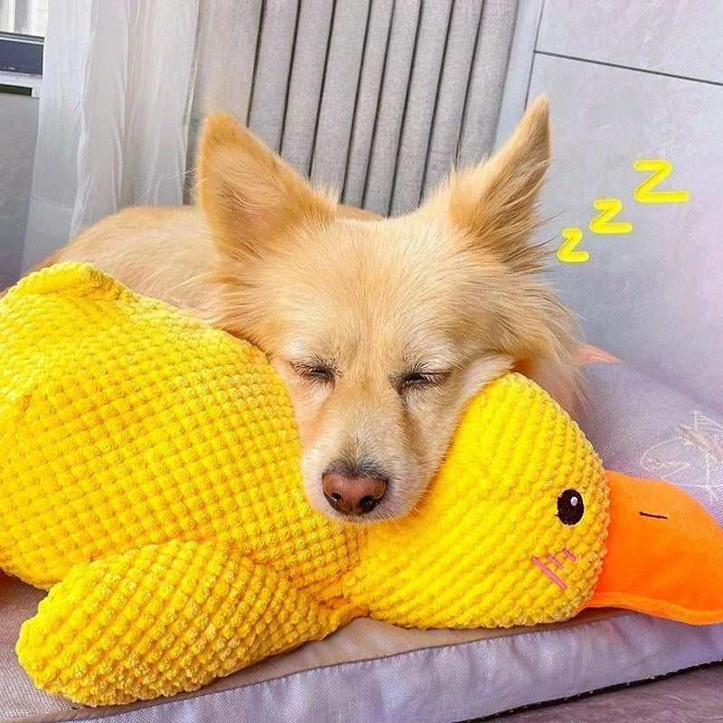 Bite Resistant Plush Dog Toy Duck Shape - ProPawPet.com