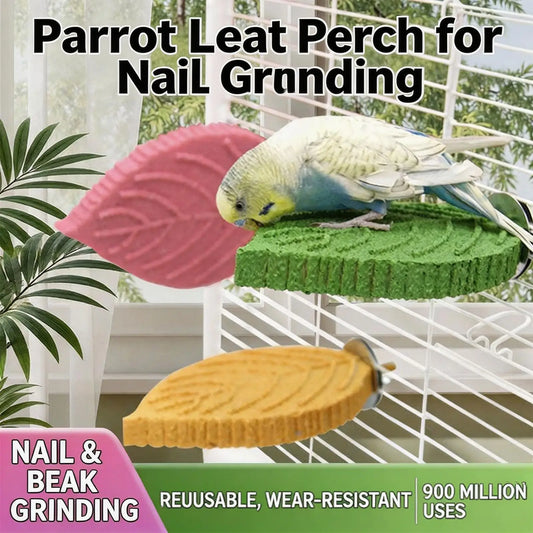Cockatiel Perch Parrot Stand Toys Resin Bird - ProPawPet.com