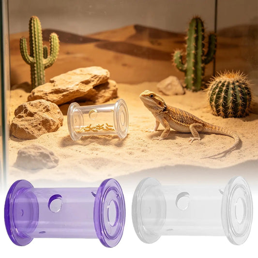 Reptile Feeding Food Bowl Slow Feeder - ProPawPet.com