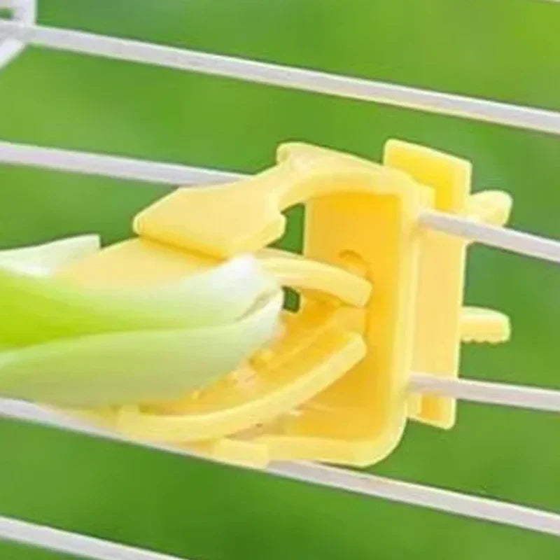 2/4Pcs Pet Bird Food Holder Parrot Fruits - ProPawPet.com