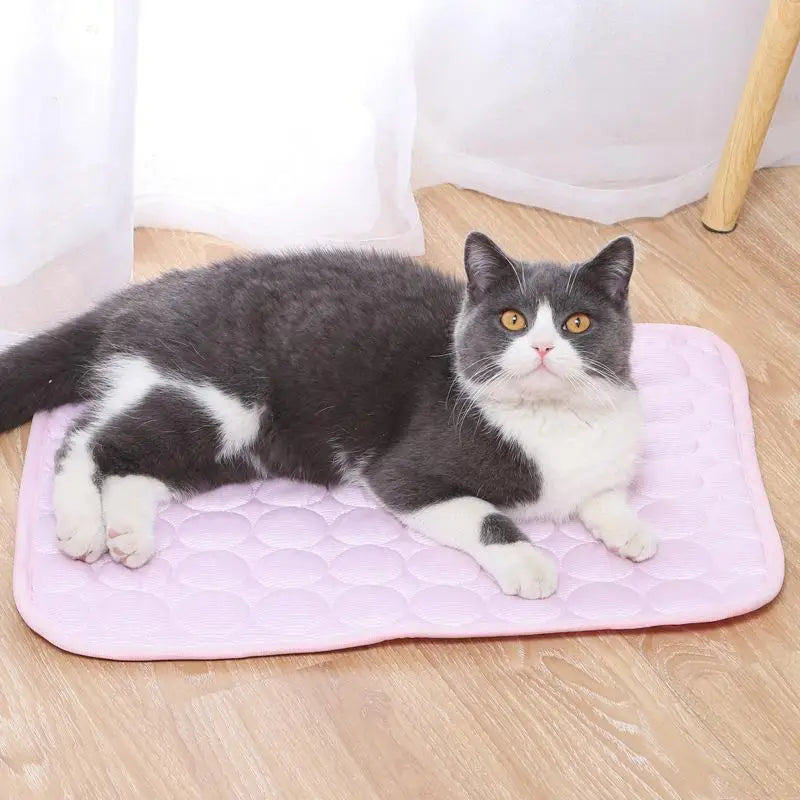 Summer Cool and Breathable Pet Sleeping Mat, - ProPawPet.com