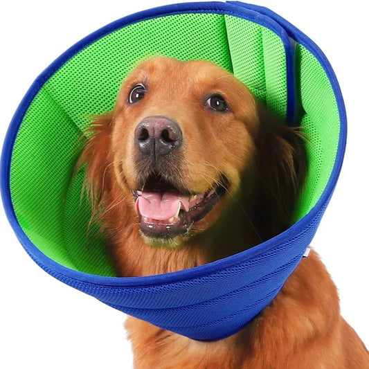 Cat and Dog Anti-Bite, Anti-Scratch, - ProPawPet.com