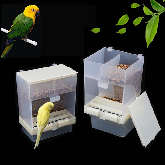 Removable Feeder Pet Bird Container Parrot - ProPawPet.com
