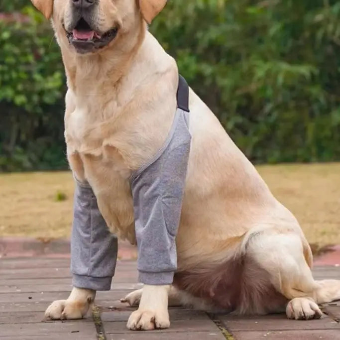 Pet Knee Pads for Joint Injury Recovery Legs - ProPawPet.com