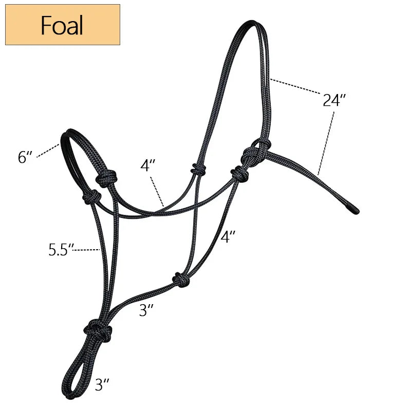 For Horses Style Training Halter Woven Horse - ProPawPet.com