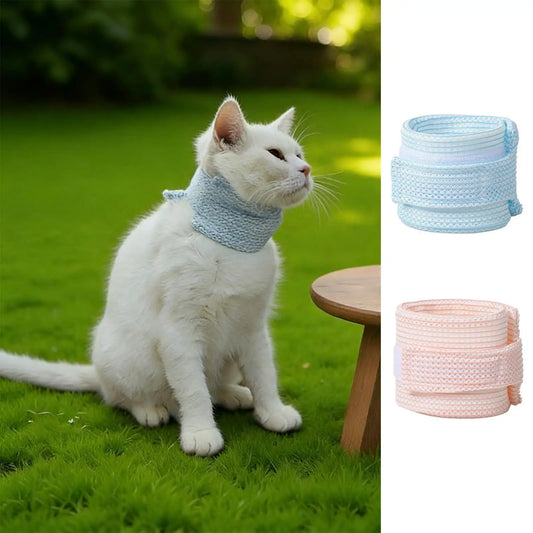 Cat Neck Brace Washable Waterproof Wound - ProPawPet.com
