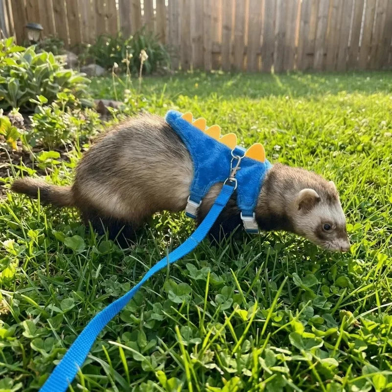 Adjustable Ferret Vest Harness with Bell - ProPawPet.com