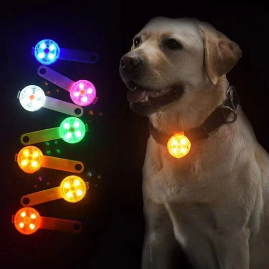 Dogs Collars Anti Loss Pendant Waterproof - ProPawPet.com