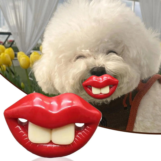 Dog Pacifiers for Small Pet Funny Dog Red - ProPawPet.com