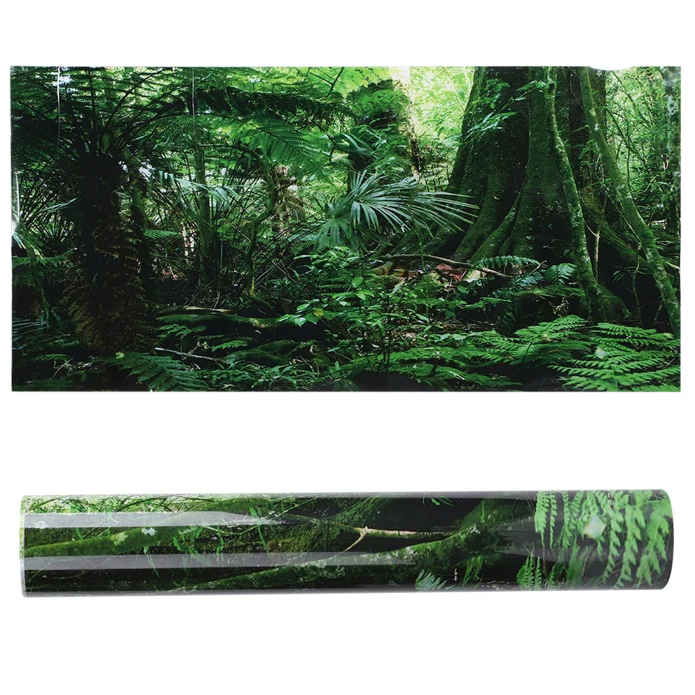 PVC Reptile Box Rainforest Background Poster - ProPawPet.com