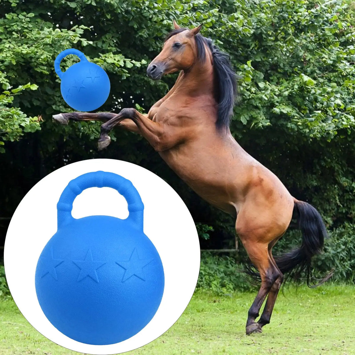 Horse Toys Pet Large Dogs Soccer Ball – Equestrian Accessories