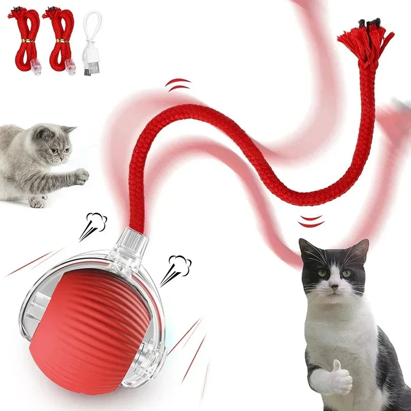 Rechargeable Automatic Rolling Ball Cat Toy - ProPawPet.com