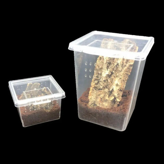 1Pc Plastic Reptiles Living Box Transparent - ProPawPet.com