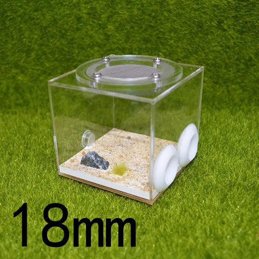 18mm Diameter Dual-Tube Nest Acrylic Ant - ProPawPet.com