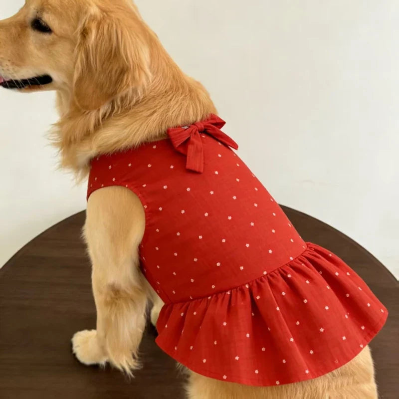 Golden Retriever Clothing Dress Summer Dog - ProPawPet.com