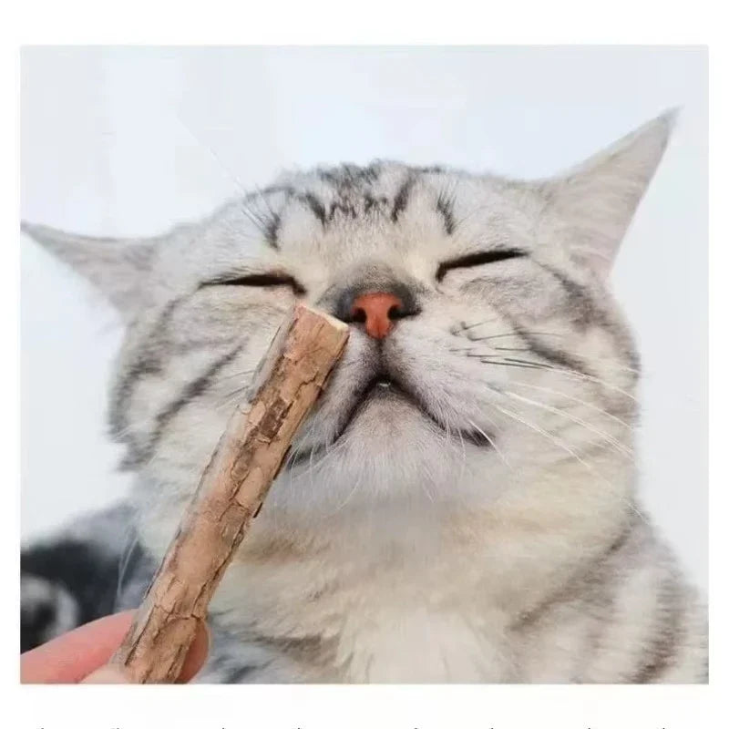 Natural Silver Vine Chew Sticks Catnip Molar - ProPawPet.com