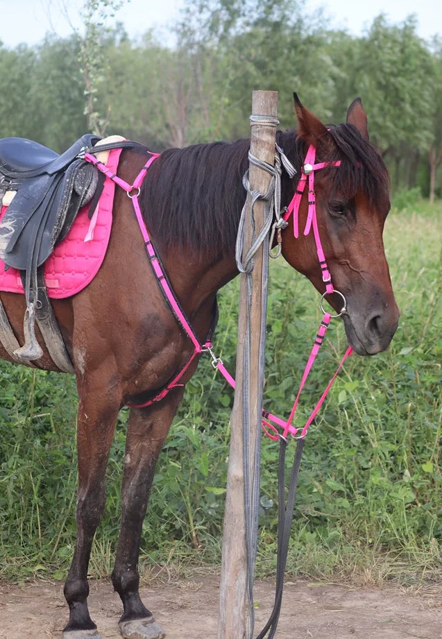 Horses absorb sweat, sweat pad, shock - ProPawPet.com
