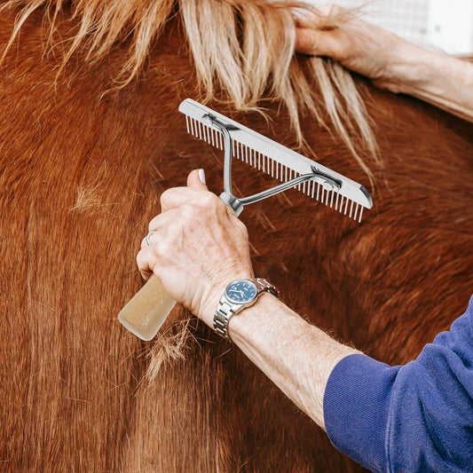 1Pcs Wood Handle Horse Hairbrush Fine - ProPawPet.com