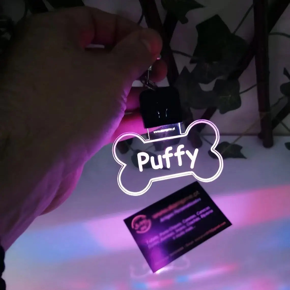 Customized Laser-Engraved Acrylic LED Pet ID - ProPawPet.com