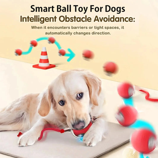Dog Interactive Ball Toy Automatic Rolling - ProPawPet.com
