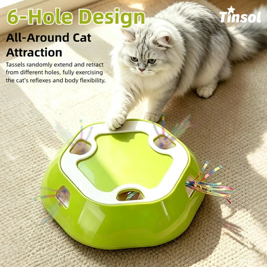 Electric Pet Retractable Plate Cat Exercise - ProPawPet.com